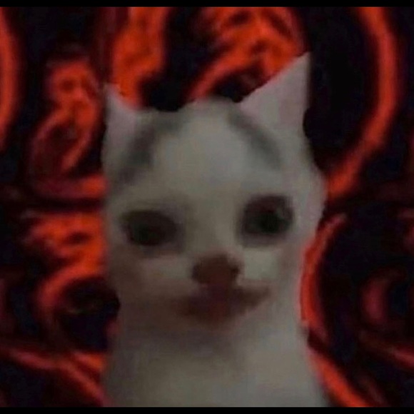 Meet your Posher, Karina y - Picture 1 of 1